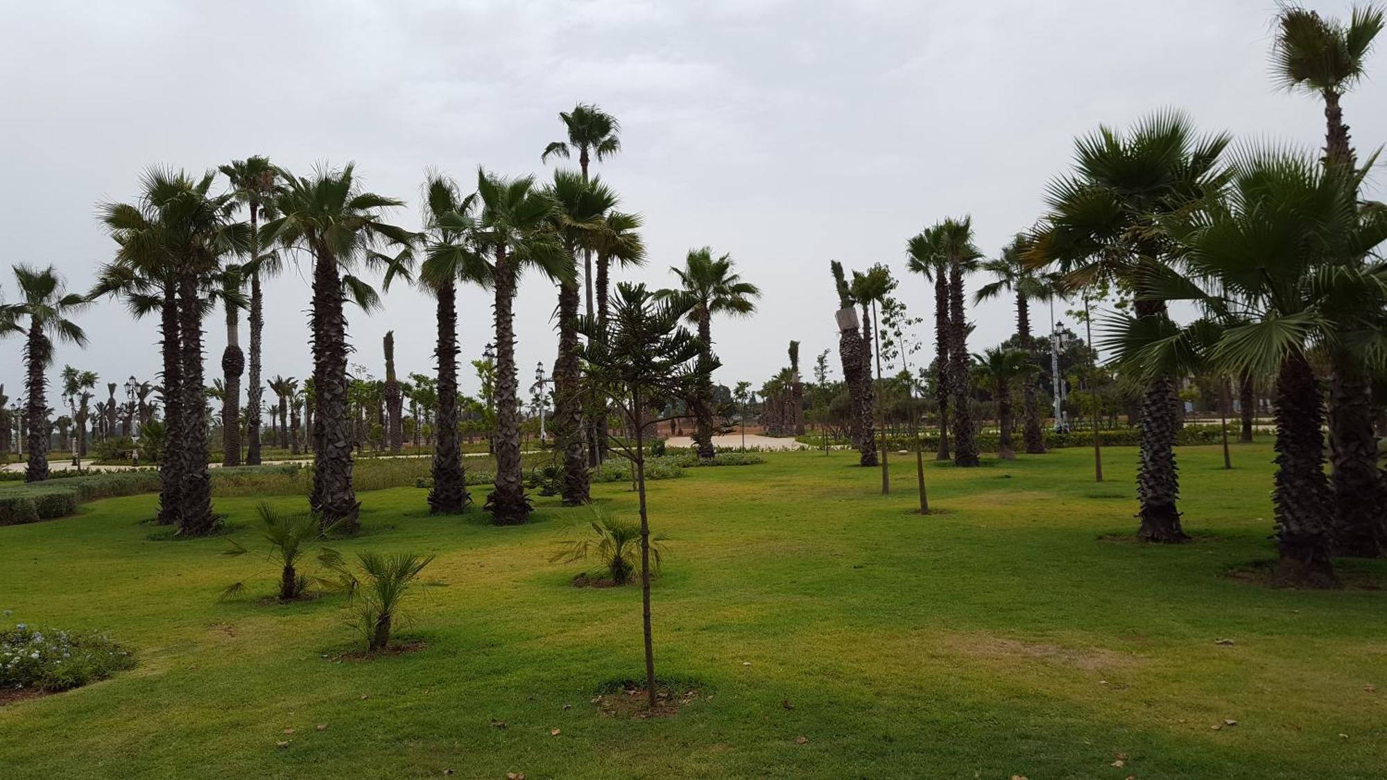 Appartement Agreable Avec 2 Tres Belles Terrasses Au Coeur De Rabat Eksteriør bilde